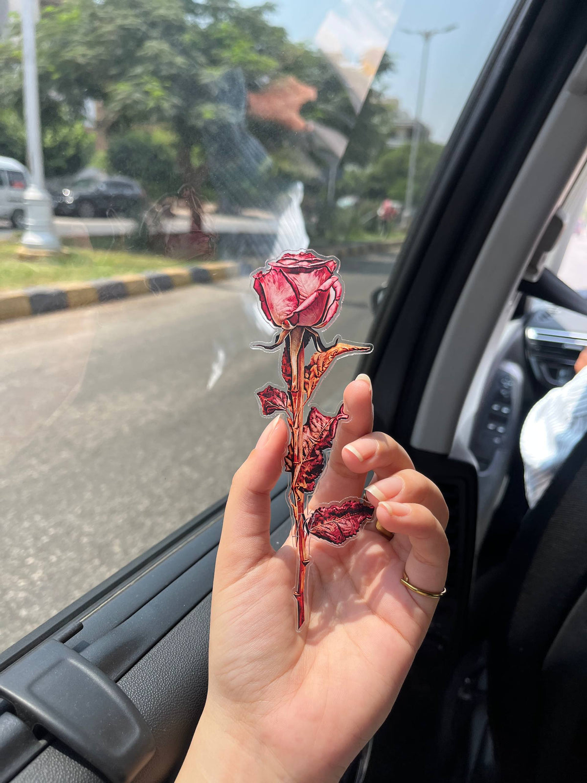 Pink dry flower 🆕