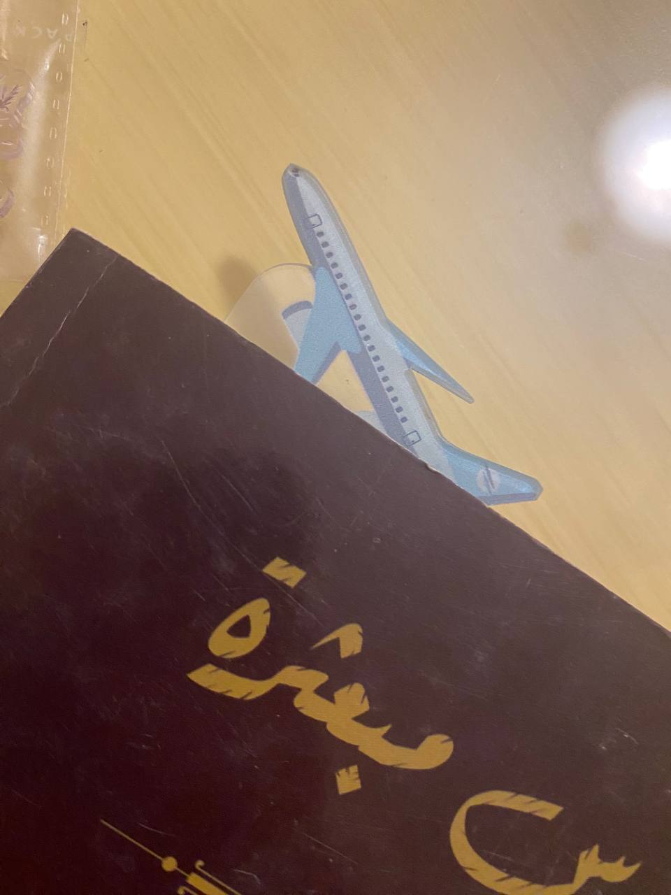 Travel plane