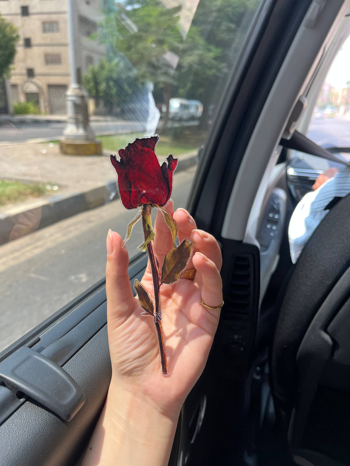 Red dry flower 🆕